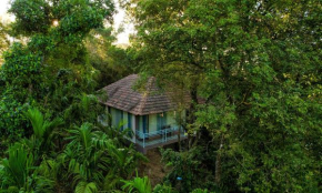 Green Tree Resort